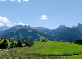 001 - rüeblihorn gummfluh ob rougement